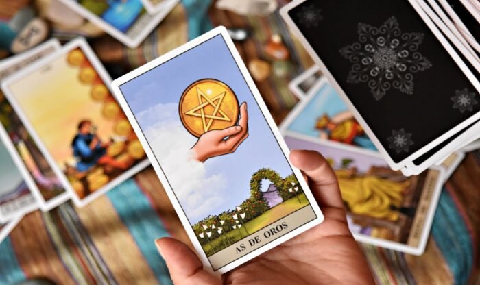 pexels-davegarcia-36116182